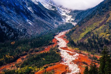 Mt. Gongga(Minya Konka) No.1 buzul yakın çekim. Resimdeki çakılların buzul yüzey var. Sichuan Çin Hailuo vadisinde (Hailuogou) alınan.