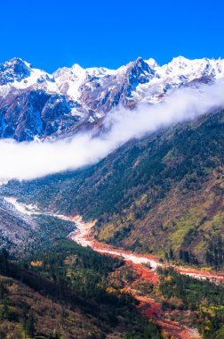 Mt. Gongga(Minya Konka) No.1 buzul yakın çekim. Resimdeki çakılların buzul yüzey var. Sichuan Çin Hailuo vadisinde (Hailuogou) alınan.