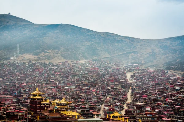 Sichuan, Çin - Eylül 19 2014: larung gar (larung beş İlimler Budist Akademisi). ünlü rahipleri seda, sichuan, Çin.