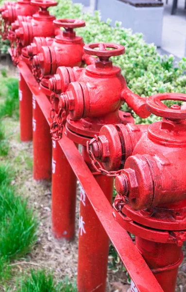 Linie červený požární hydrant — Stock fotografie