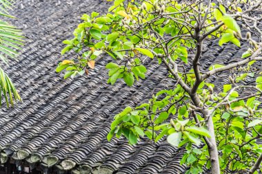 Şafakta kırsal Çin'deki eski Çin çatılar