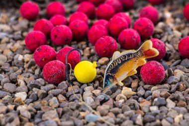 Yemler üzerinde sazan yakalamak