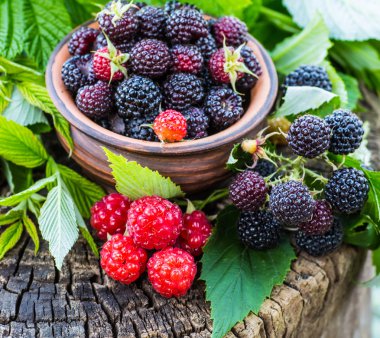 Ahududu ahşap arka plan üzerinde bir kasede