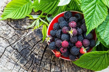 ahşap arka plan üzerinde taze çilek Üstten Görünüm