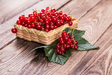 Ahşap arka plan üzerinde taze kuş üzümü