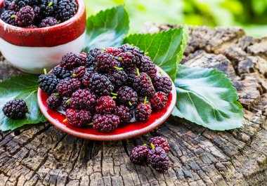Fresh mulberries in a bowl on a garden background clipart