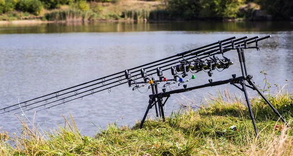 Carpa filatura bobina canne da pesca su baccello in piedi . — Foto Stock