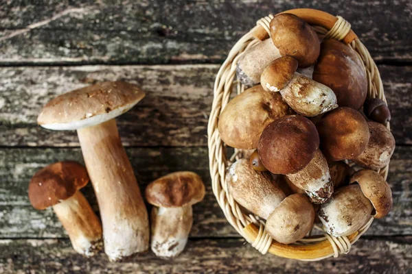 Mushroom Boletus Wooden Background Autumn Cep Mushrooms Cooking Delicious Organic — Stock Photo, Image