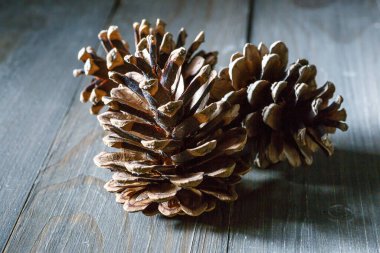 Ahşap arka planda çam kozalakları. Çam kozalaklı, doğal ahşap arka plan.