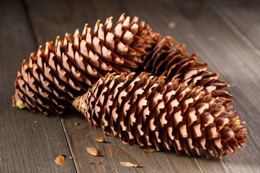 Ahşap arka planda çam kozalakları. Çam kozalaklı, doğal ahşap arka plan.