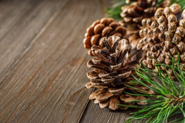 Çam kozalağı ve yeşil dal, ahşap masa üzerinde kar, mesaj için kopyalama alanı. Noel kartı. Ahşap arka planda çam kozalakları.