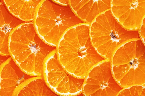 Fondo Cítrico Limón Lima Naranja Mandarina Pomelo Concepto Cosecha Vista —  Fotos de Stock