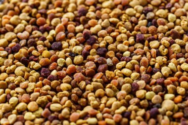 Arı poleni ya da perga.Çiğ kahverengi, sarı, turuncu ve mavi polen taneleri ya da işçi bal arıları tarafından paketlenmiş arı ekmeği. Sağlıklı gıda takviyesi