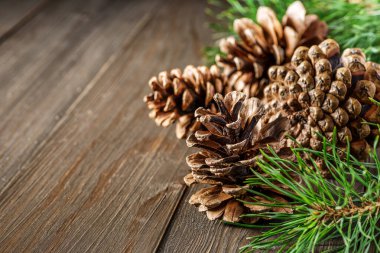 Çam kozalağı ve yeşil dal, ahşap masa üzerinde kar, mesaj için kopyalama alanı. Noel kartı. Ahşap arka planda çam kozalakları.