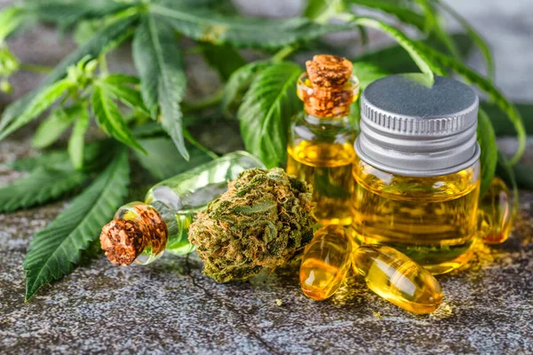 Yeşil yapraklı marihuana yağı. Tıbbi marihuana çiçeği tomurcukları. Kenevir tomurcukları - Tıbbi marihuana kavramı