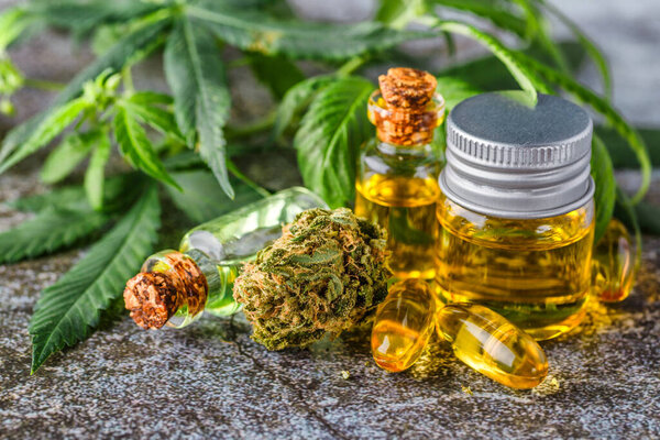 Зеленые листья лекарственного конопли с экстрактом масла. Конопля почки - медицинская марихуана концепции