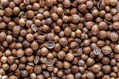 Kişniş tohumu yığını. Farklı baharatlardan oluşan bir karışım. Renkli baharat ve baharat dokuları. Renkli bitkiler ve baharatlar. Çeşitli Hint baharatları.