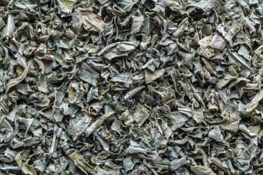 Farklı baharatlardan oluşan bir karışım. Renkli baharat ve baharat dokuları. Renkli bitkiler ve baharatlar. Doğulu. Kafe konsepti.