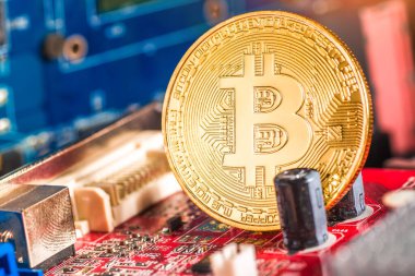 Bilgisayar devre kartında Altın Bitcoin Kripto para birimi. Makro çekim