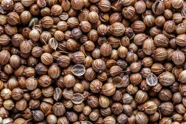 Stapel Korianderzaad Een Mengsel Van Verschillende Specerijen Sluit Texturen Van — Stockfoto