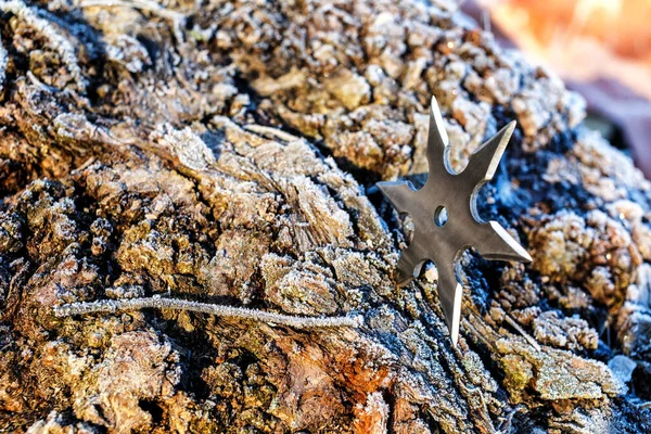 Shuriken Fırlatan Yıldız Geleneksel Japon Ninja Soğuk Silahı Tahta Arka — Stok fotoğraf