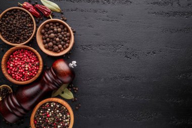 Bir biber seti. Farklı tip biber kolajı, siyah, beyaz, pembe ve tüm baharatlı biber, kurutulmuş kırmızı biber. Üst görünüm. Siyah bir arka planda. Metnin için boş yer.