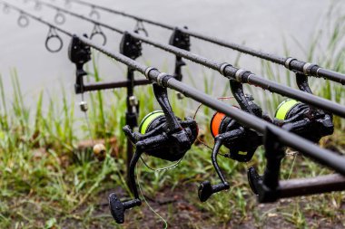 Sazan dönen olta oltası ayakta duruyor. Sazan Çubukları, Laklarda balık avı. Profesyonel balıkçılık ekipmanları.