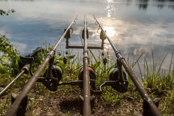 Carpfishing Session Lake Carp Angling Scenic Landscape Overlooking Lake Dawn — 스톡 사진