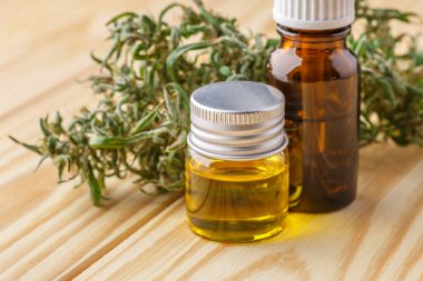 Yeşil yapraklı marihuana yağı. Tıbbi marihuana çiçeği tomurcukları. Kenevir tomurcukları - Tıbbi marihuana kavramı