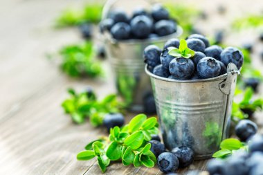 Metnin için fotokopi alanı olan taze yabanmersini arkaplanı. Sağlıklı beslenme ve yeme için bir kase konseptinde yabanmersini antioksidan organik yiyecekler