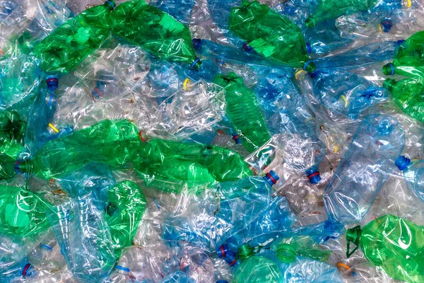 Plastik Şişeler Çevre Kavramını Korumak Için Geri Dönüşüm Kullanılan Birçok — Stok fotoğraf