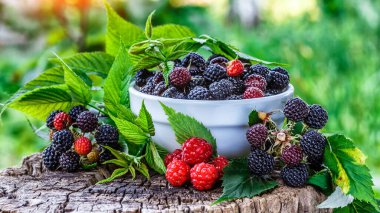 Bahçedeki bir kasede böğürtlen, ahududu ve böğürtlen. Meyve hasadı. Yakın plan.