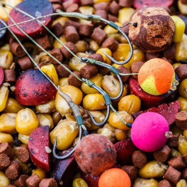 Sazan balığı oltası. Balık oltası ile Kaynak Boilies. Sazan, sazan balığı, mısır, kaplan fındığı ve kenevir için balıkçılık malzemesi..