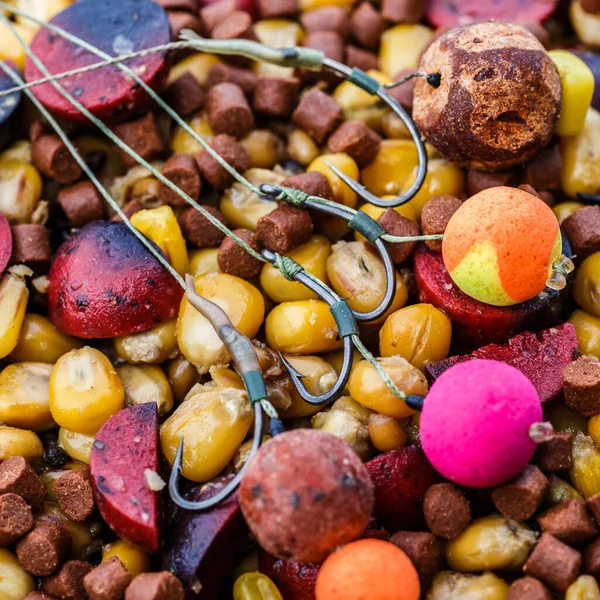 Karper Hengel Rig Bron Boilies Met Vishaak Vissen Tuig Voor — Stockfoto