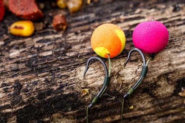 Karper Hengel Rig Bron Boilies Met Vishaak Vissen Tuig Voor — Stockfoto