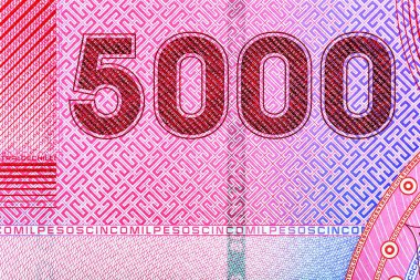 Şili 5000 pesosu 2021 Gabriela Mistral Portresi. Arka tarafta La Campana Ulusal Parkı 'nda bir baykuş var. Bonistikler. Dünya para koleksiyonu.. 