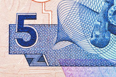 Solomon Adaları 5 dolar 2006.Ton balığı, arma; martı. Arka tarafta nehir kıyısında geleneksel bir ev var, bir teknenin yanında bir balıkçı. Bonistic. Tasarım amaçlı..