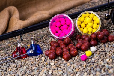 sazan kafa Boyle Balık tutma