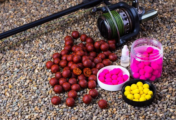 Pesca della testa di carpa Boyle — Foto Stock