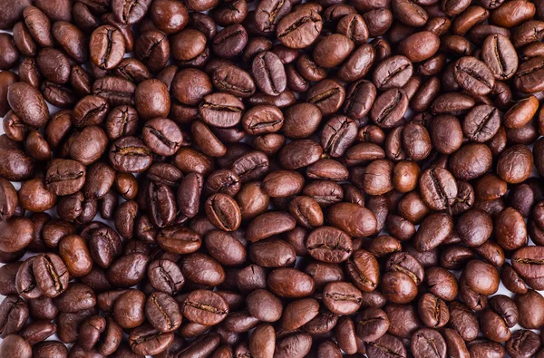 Zrnková káva — Stock fotografie