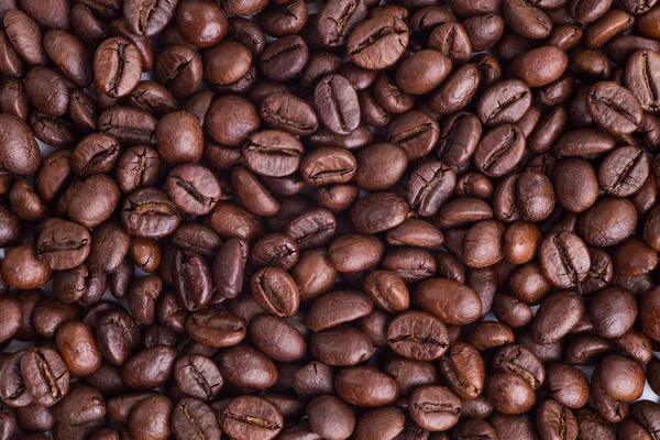 Zrnková káva — Stock fotografie
