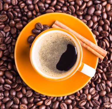 Kahve fincanı ve kahve çekirdeği.