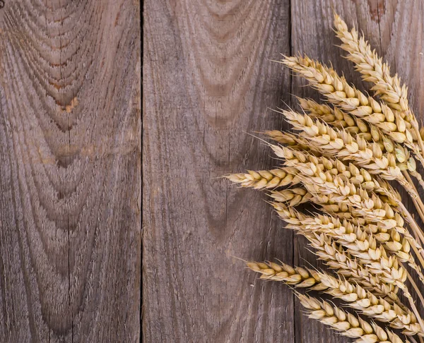 kulak buğday eski ahşap tablo.