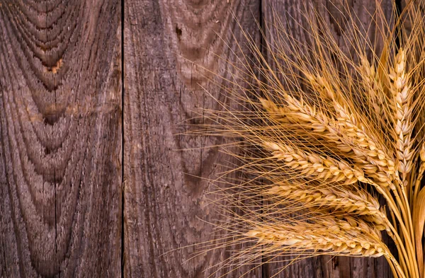 Пшениця на фоні дерева — стокове фото