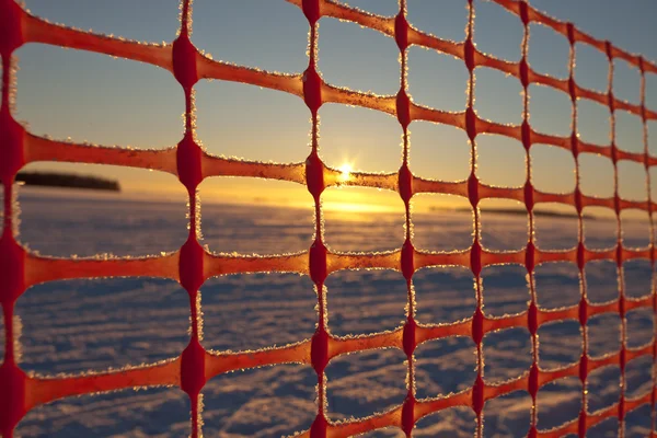 Kırmızı kısıtlı net