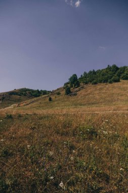 Doğa güzelliği çok güzel