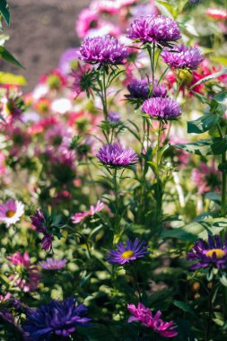 Doğa güzelliği çok güzel