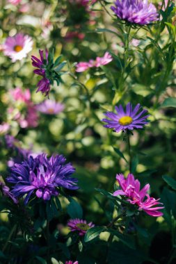 Doğa güzelliği çok güzel