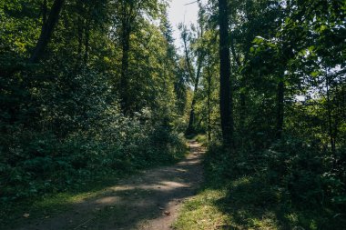 Doğa güzelliği çok güzel