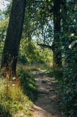 Doğa güzelliği çok güzel